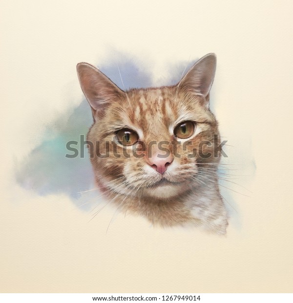 可愛い赤い猫 ペットのリアルな水彩画 大きな目を水彩で描いた生姜猫の絵 プリント枕にはtシャツ ペットショップのアート背景 手描きのイラスト のイラスト素材