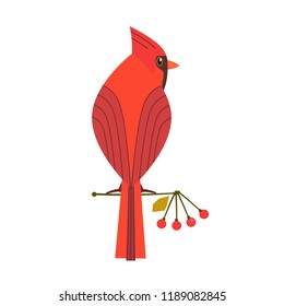 Cute Red Northern Cardinal Icon. Comic Simple Flat Cartoon. Winter Birds Of Backyard, City Garden Wonderland. Stylized Funny Bird Isolated. Template For Logo, Scavenger Hunt Card Background