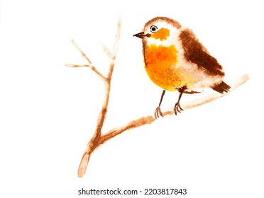 Cute Robin Bird Illustraion Hand Paited On A Paper