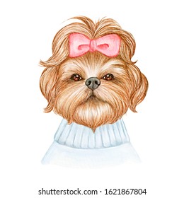 cute shih tzu dog with ribbon watercolor illustration