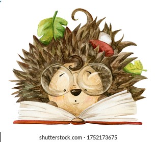 Cute smart watercolor hedgehog 
read book, character illustration isolated on white background. 