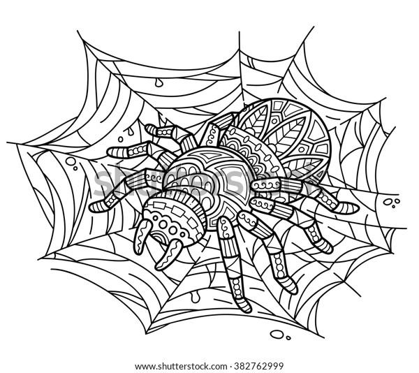 Cute Spider On Webblack White Illustration Stock Illustration 382762999