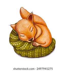 Cute squirrel slipping on a knitted blanket - Powered by Shutterstock