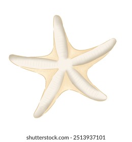 A cute starfish illustration features a starfish with a friendly and charming design. It often includes bright, cheerful colors - Powered by Shutterstock