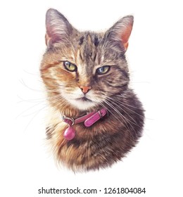 白い背景にかわいいストライプ猫 ペットのリアルなポートレート ピンクの襟の猫の絵 動物芸術コレクション 猫 枕の上に印刷するのに良い Tシャツ 手描きの イラスト のイラスト素材 Shutterstock