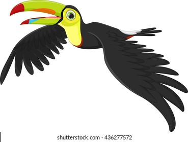 Cute Toucan Bird Cartoon Flying