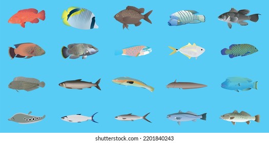 Cute Underwater Animals On Black Background, A Commercial Fish Set. Fresh Raw Edible Cartoon Fish Collection. Tuna, Salmon, Trout, Seabass, Mackerel, Herring, Codfish, Anchovy, And Merles.