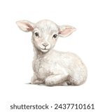 Cute vintage Easter little lamb sheep animal baby isolated on white background. Watercolor hand drawn illustration sketch