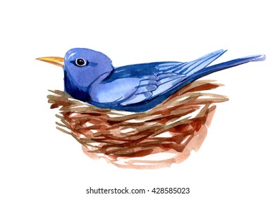 Cute watercolor blue bird on nest, isolated illustration