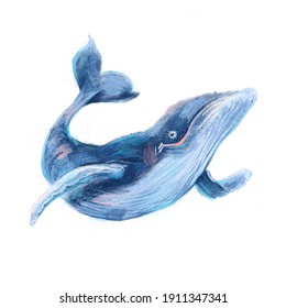 クジラ 綺麗 のイラスト素材 画像 ベクター画像 Shutterstock