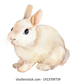 103,241 Drawn rabbit Images, Stock Photos & Vectors | Shutterstock