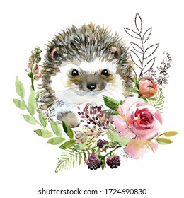 Cute Watercolor Cartoon Hedgehog. Forest Animal Illustration.