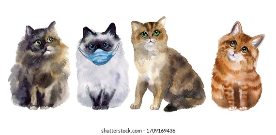 Cute Watercolor Cat With Medical Mask