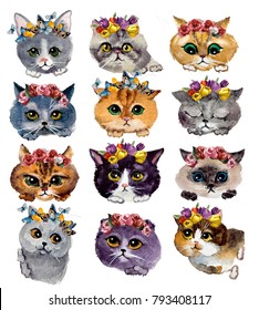 Cute Watercolor Cats Flowers On White Stock Illustration 793408117 ...