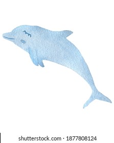 Cute watercolor dolphin white background Hand painted illustration 