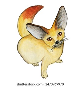 Cute watercolor Fennec fox. Hand drawn Safari animal in cartoon style