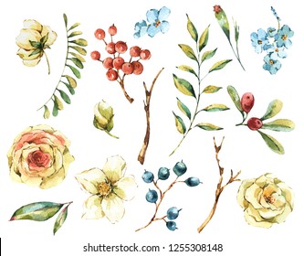 Cute Watercolor Natural Floral Set Of White Rose, Wildflowers, Berries, Leaves, Isolated Vintage Design Elements, Hand Painted Collection