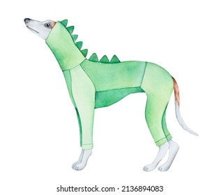 Cute Whippet Dog Wearing Funny Hooded Dinosaur Onesie. Standing Profile View. Hand Painted Watercolour Graphic Drawing, Cut Out Clip Art Element For Design, T-shirt Print, Poster, Label, Card, Banner.