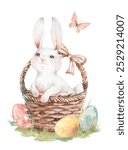 Cute white fluffy bunny in an Easter basket on green lawn with painted eggs watercolor illustration