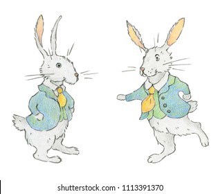 Cute white rabbits in suit