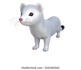 
Cute White Weasel 3 D Illustration