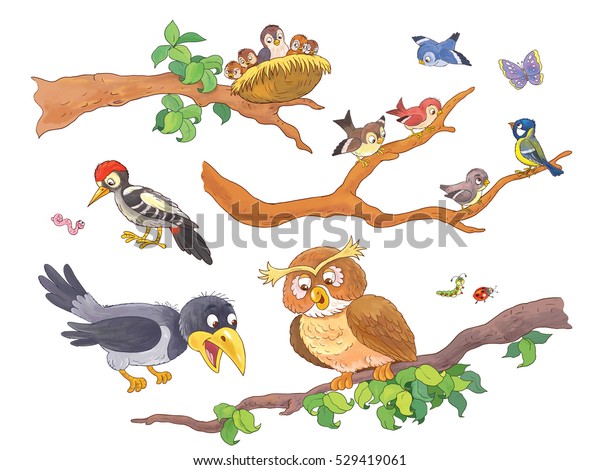 可愛い森林動物 枝にすわる森の鳥 かわいいフクロウ キツツキ カラス スズメ ナイチンゲール 塗り絵 カラーリングページ 白い背景におかしな漫画の キャラクター のイラスト素材