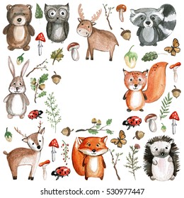 Cute Woodland Animals Watercolor Images Kindergarten Zoo Icons