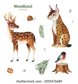 Cute Woodland collection.Watercolor set with funny forest animals-deer,lynx,snail,bullfinch,tree stump.Perfect for education, 
baby shower,room decor,template cards,books,baby clothes,t-shirt prints.