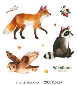 Cute Woodland collection.Watercolor set with funny forest animals-fox,owl,racoon,berry,leaf. Perfect for education, 
baby shower,room decor,template cards,books,baby clothes,t-shirt prints.