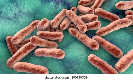 Cutibacterium Acnes Formely Propionibacterium Acnes 3d Stock ...