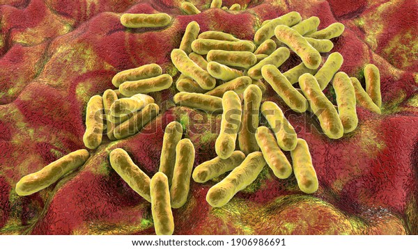 Cutibacterium Acnes Formely Propionibacterium Acnes 3d Stock ...