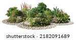 Cutout flowerbed. Plants and flowers isolated on white background. Flower bed for garden design. Rock landscaping. Photorealistic 3D rendering for professional composition.