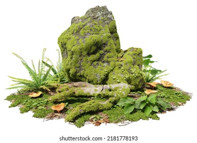 Cutout Mossy Rock Surrounded By Vegetation In The Forest.
Ancient Boulder With Moss Isolated On White Background. Photorealistic 3D Rendering For Professional Composition.