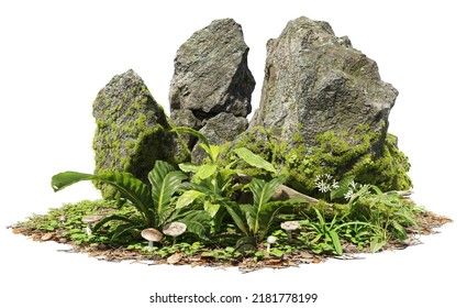 Cutout Mossy Rock Surrounded By Vegetation In The Forest.
Ancient Boulder With Moss Isolated On White Background. Photorealistic 3D Rendering For Professional Composition.