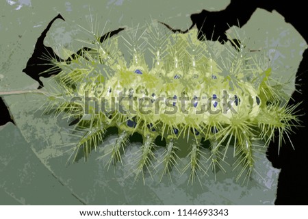 Similar – Image, Stock Photo down under Nature Plant