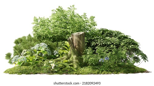 5,172 Dead Shrub Images, Stock Photos & Vectors | Shutterstock