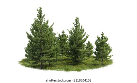 Cutout trees. Garden design isolated on white background. Decorative shrub for landscaping. Clipping mask available for composition. 3d rendering