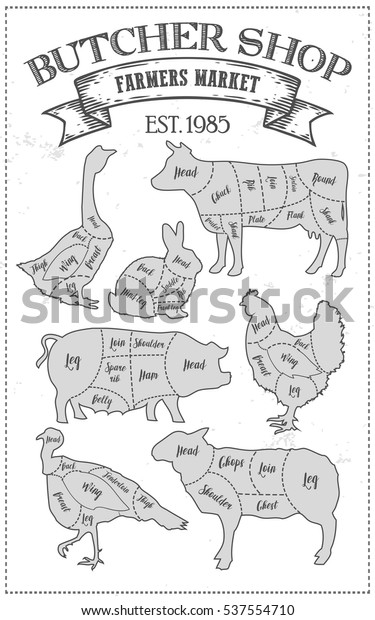 Cutting meat diagram guide cut scheme in vintage\
style. Chalk illustration graphic element for menu, banner. Steak\
cow pig chicken rabbit turkey goose duck lamb divided pieces.\
Silhouettes of\
animal