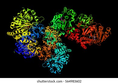 CYR61, A Secreted, Extracellular Matrix (ECM)-associated Signaling Protein Of The CCN Family. 3d Rendering.