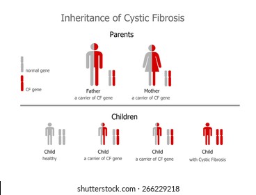 Cystic Fibrosis (mucoviscidosis) inheritance