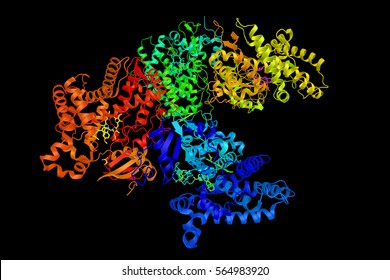 Cytochrome (3d structure), iron containing hemeprotein primarily responsible for the generation of ATP via electron transport. Capable of performing oxidation and reduction.