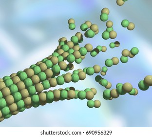 Microtubule Images, Stock Photos & Vectors | Shutterstock