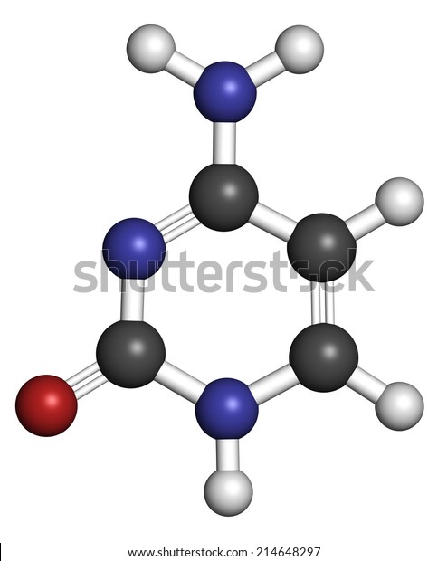 Cytosine Pyrimidine Nucleobase Component One Bases Stock Illustration 214648297