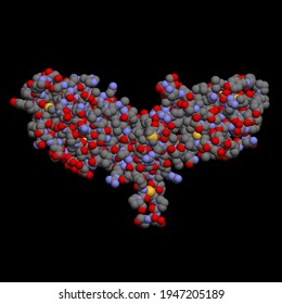 Cytotoxic T Lymphocyte Associated Protein CTLA 4 Molecule 3D Render Chemical Structure