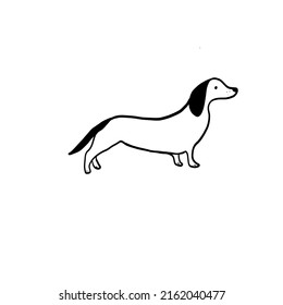 Dachshund, Sketch Cute Dog, Black And White Dog