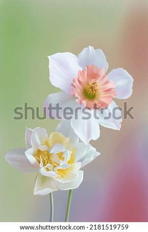 Similar – Flower Background Frame