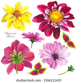 Dahlias watercolor illustrations set  Pink   yellow floral sketch  Realistic blossom hand drawn cliparts  Tropical asters aquarelle texture  Greeting card  postcard isolated design elements