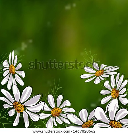 Similar – Multicolored Flowers Daisy