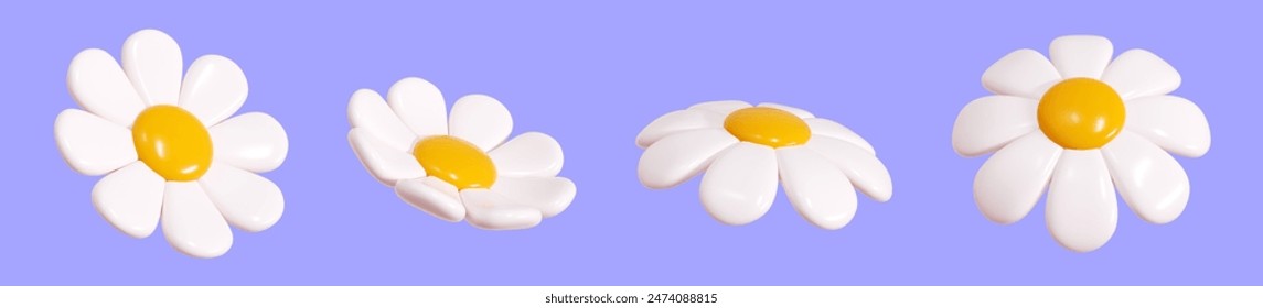 Daisy plastic flower float in different angles of view cartoon icon 3d render illustration. Cute flying chamomile bubble bloom with white petals for spring and summer design. Glossy. 3D Illustration