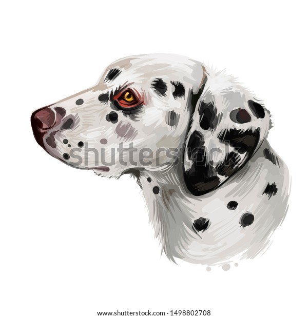 Dalmatian, Carriage Dog, Spotted Coach Dog, Firehouse Dog digital art